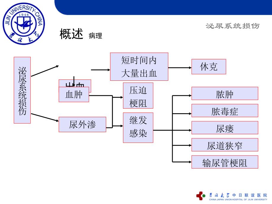 泌尿系损伤61幻灯片_第4页