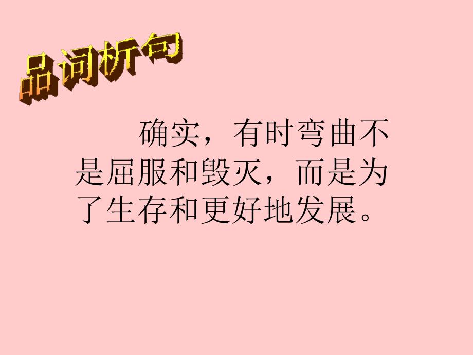 17山谷中的谜底课件_第4页