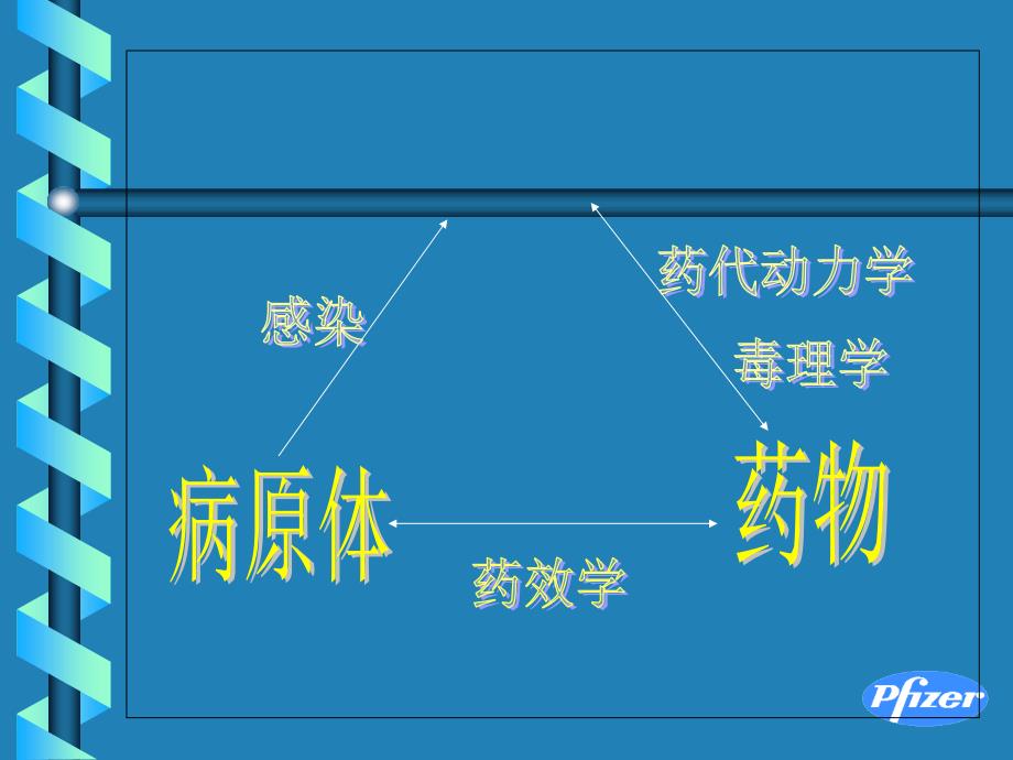 抗生素幻灯片_第4页