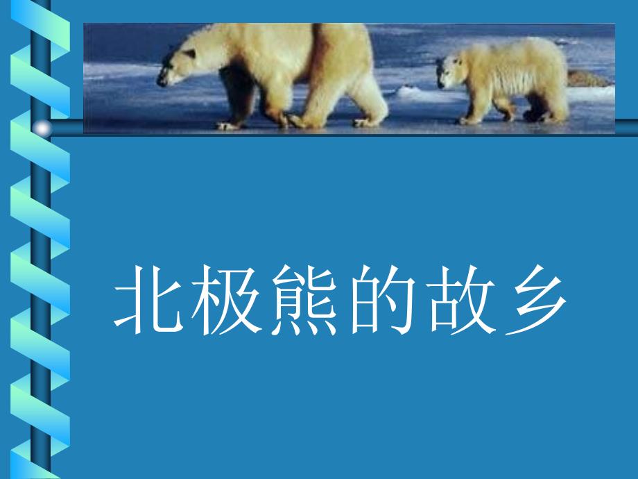 [八年级语文课件]八年级语文北极熊的故乡_第1页