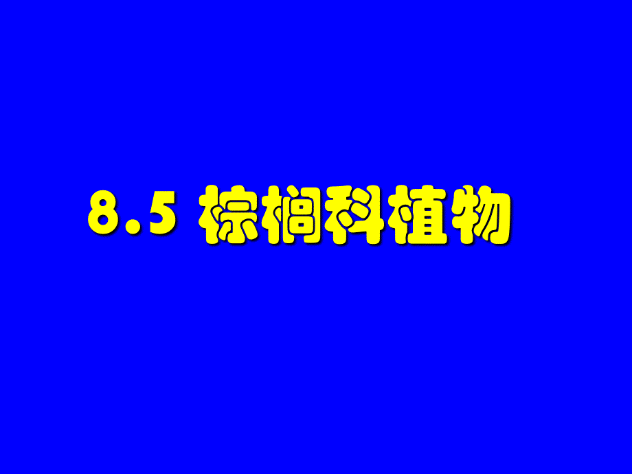 棕榈科植物 生物竞赛资料_第1页