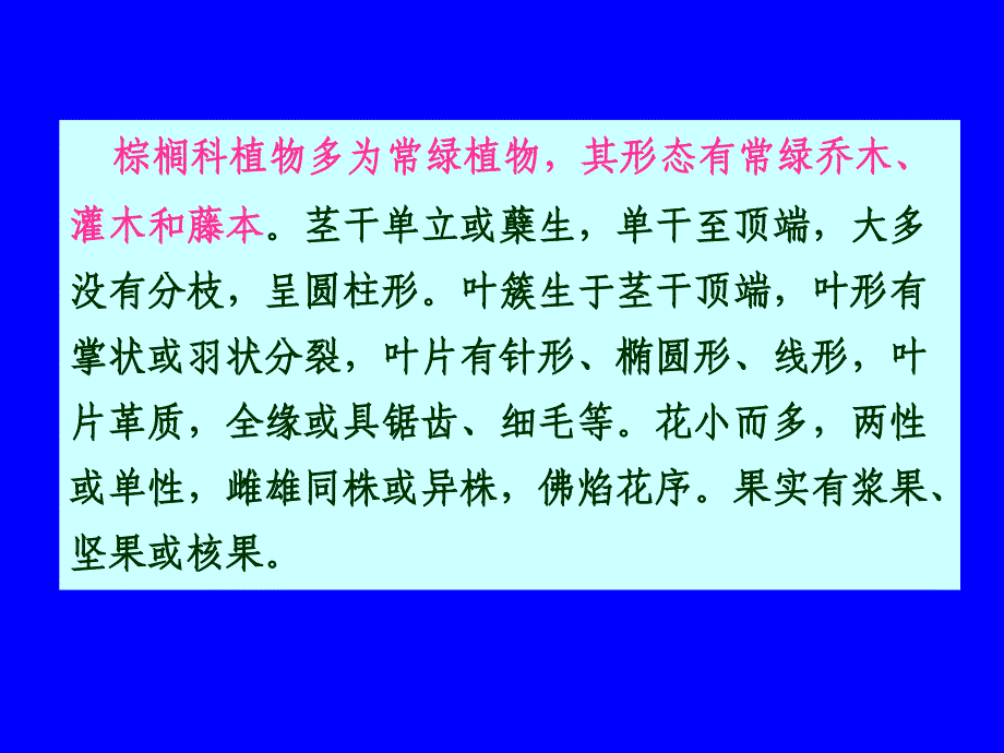 棕榈科植物 生物竞赛资料_第4页