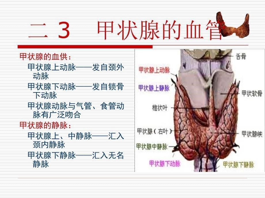 甲状腺肿瘤的护理幻灯片_第5页