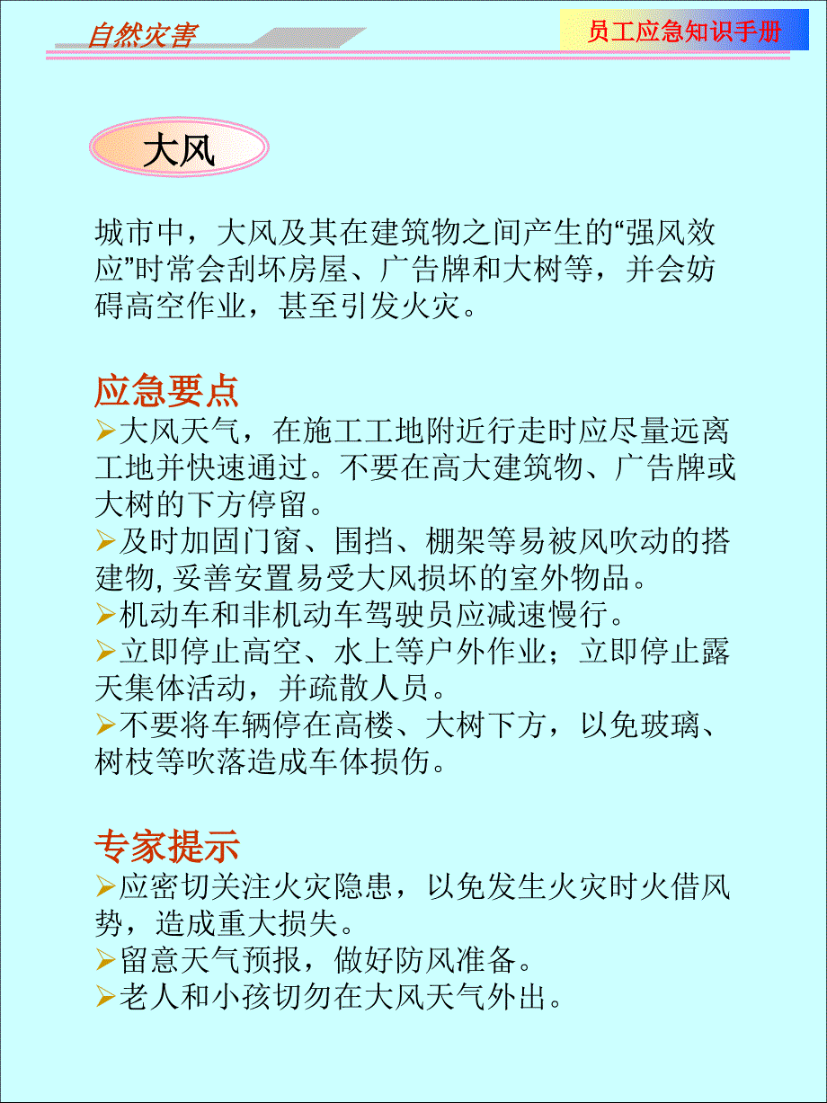 员工应急培训知识手册_第2页