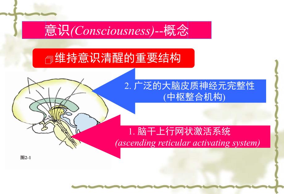 意识障碍的诊断思路_第3页