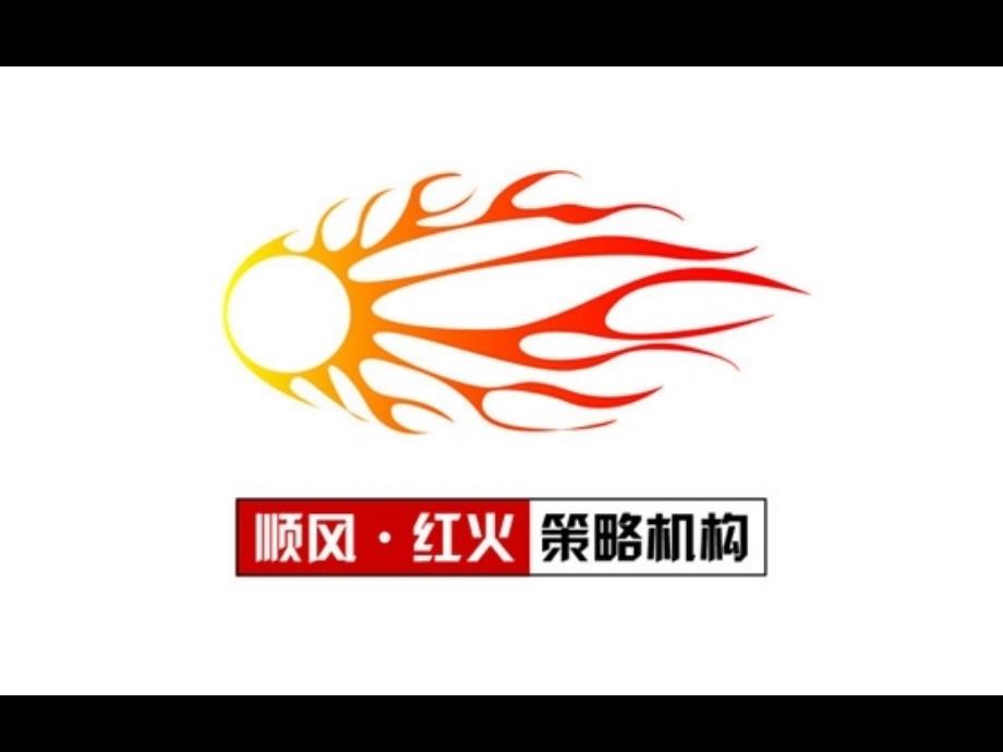 意尔康山东市场调查报告_第1页