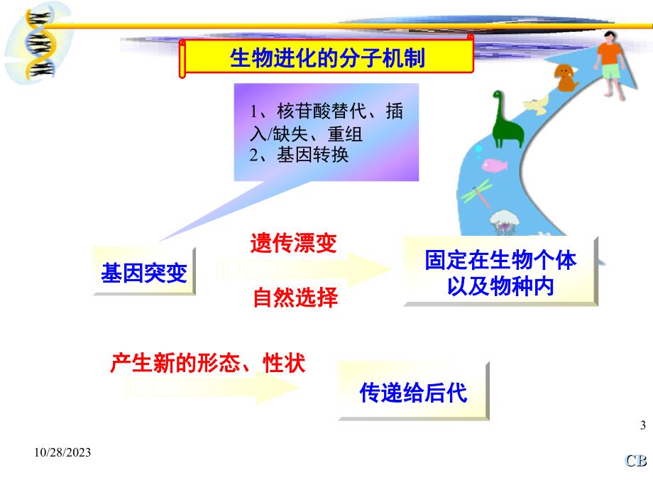 基因组与进化_第3页