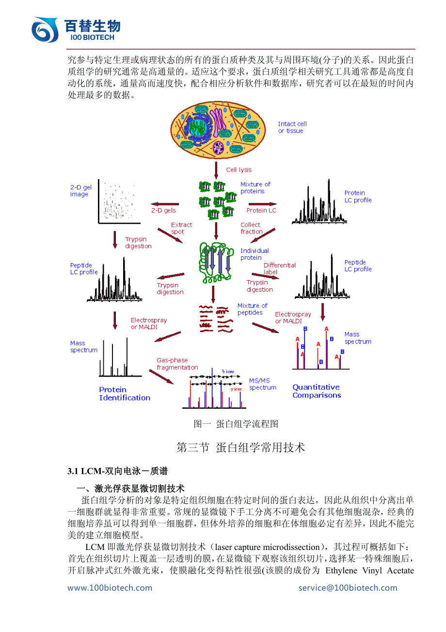 蛋白质组学_百替生物_第3页