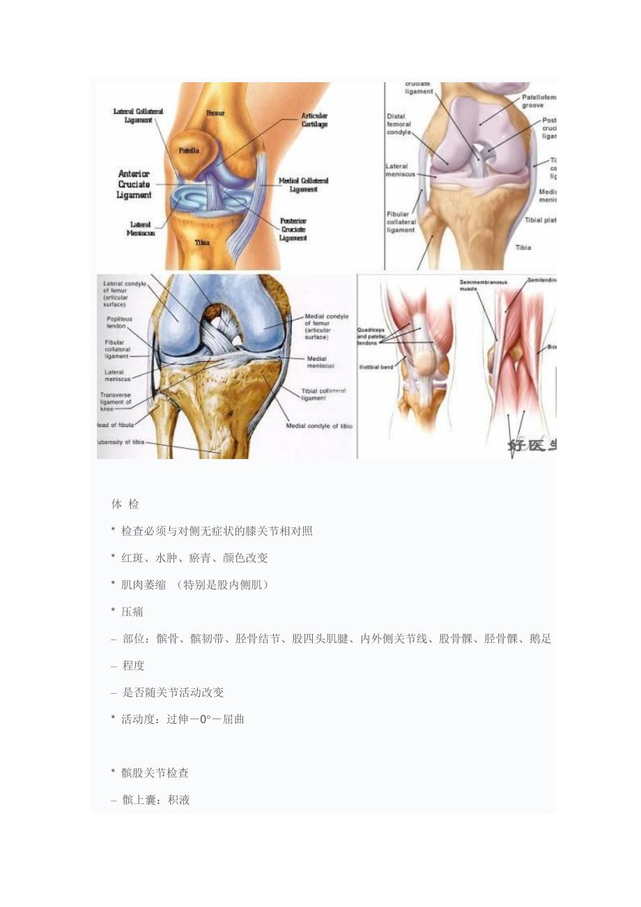 膝关节疼痛的诊断(附图)_第2页