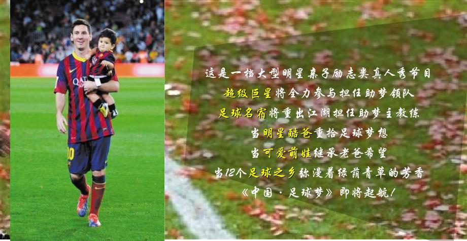 某某卫视季播大型足球亲子励志节目《中国足球梦》策划方案_第2页
