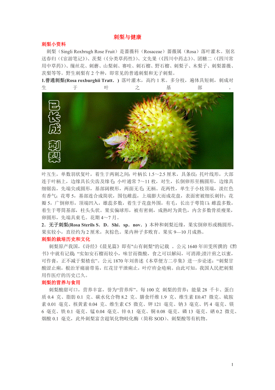 果品与健康--刺梨_第1页