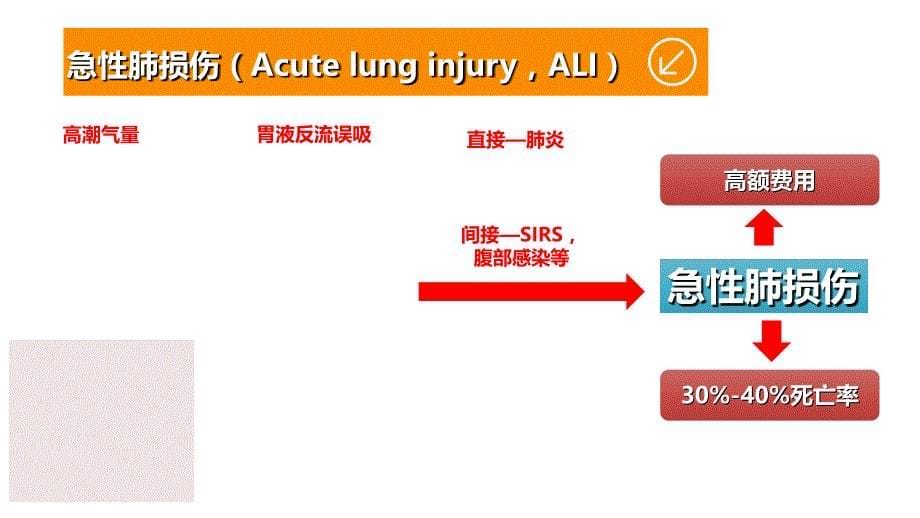 icu急性肺损伤的预防_第5页