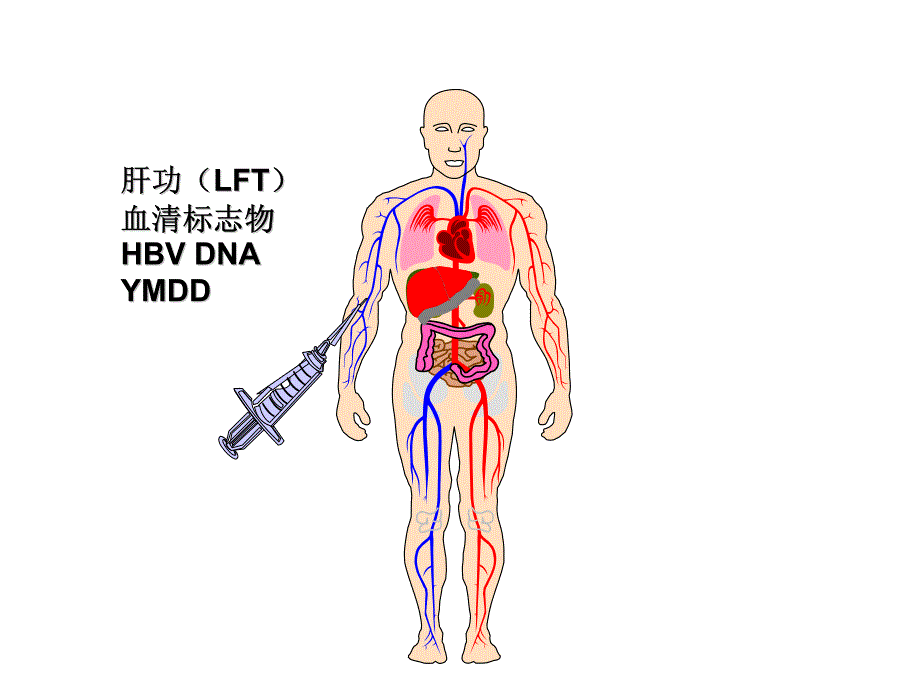 乙型肝炎血清学诊断新进展_第2页