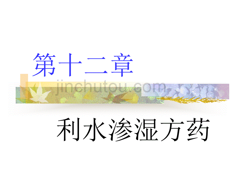 中药药理利水渗湿方药_第1页