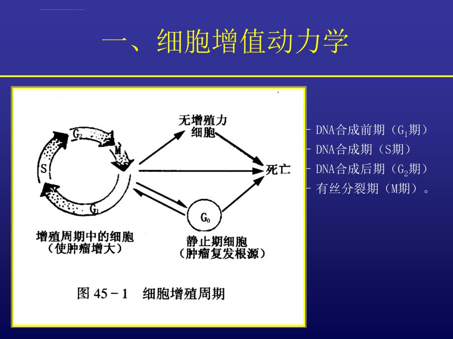 药理学--恶性肿瘤的药物治疗_第3页