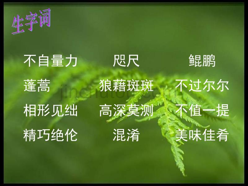 《敬畏自然》ppt61484_第2页