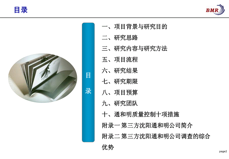 “皇姑区政府绩效考评”第三方项目建议书_第2页