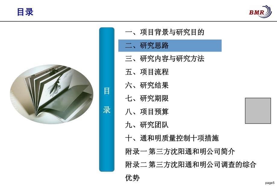 “皇姑区政府绩效考评”第三方项目建议书_第5页