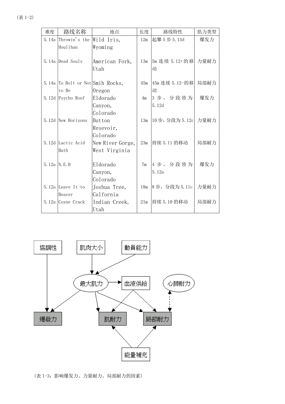 攀岩运动训练法1_第4页