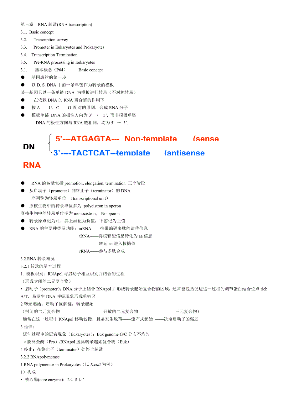 分子生物学第三章  rna转录_第1页