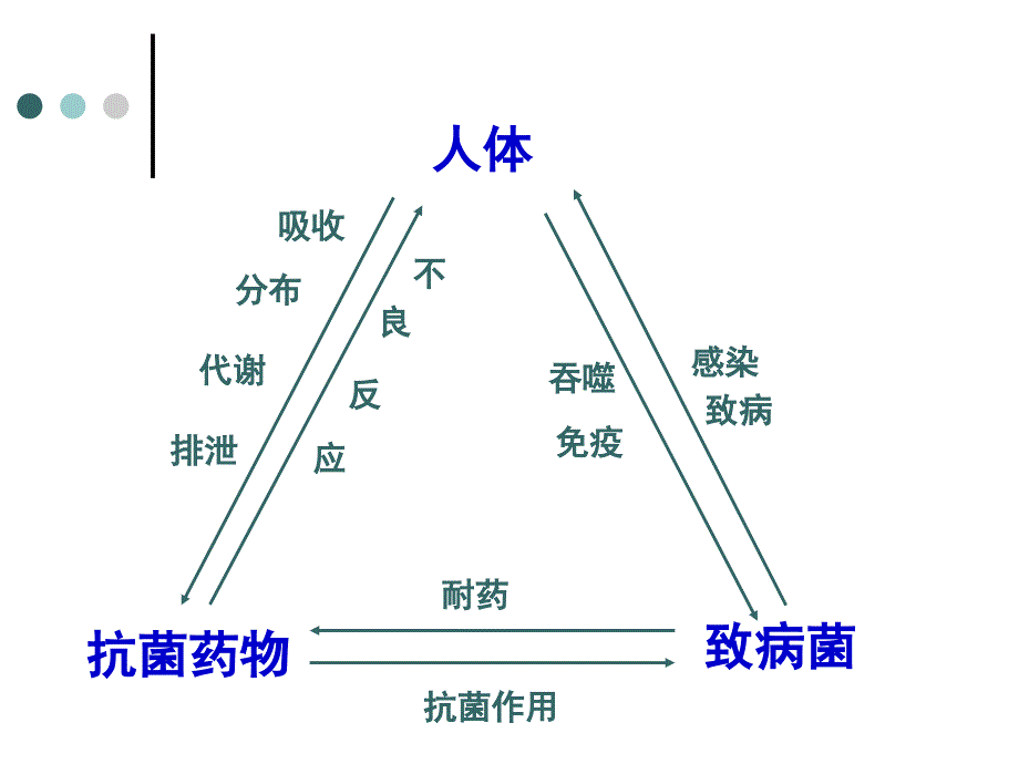 细菌耐药与抗菌药物合理应用_第3页