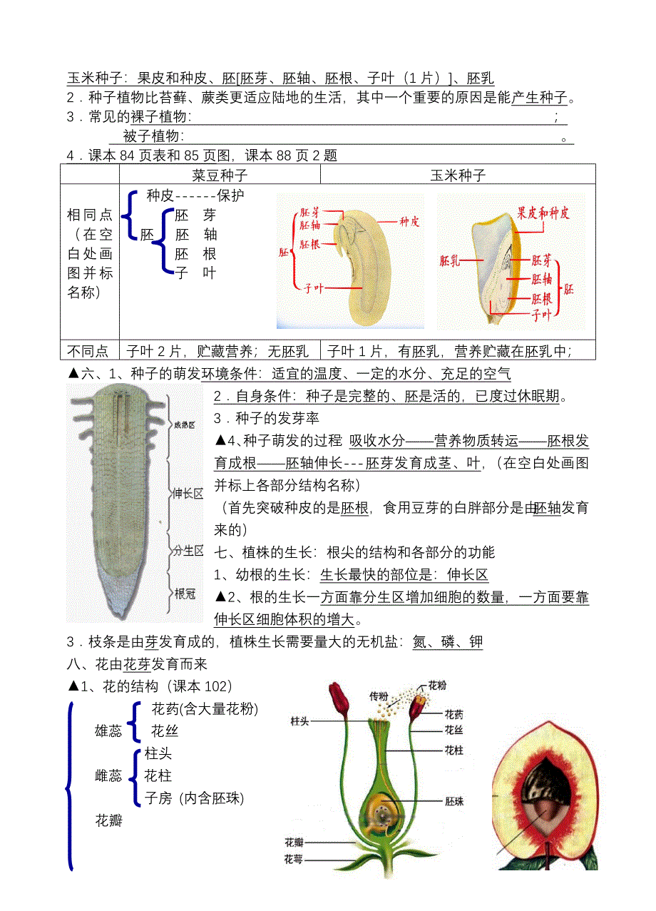 七上末复习提纲08.12_第2页