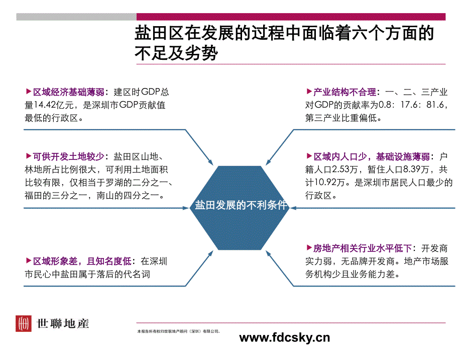 2006深圳盐田港项目案例研究_第4页