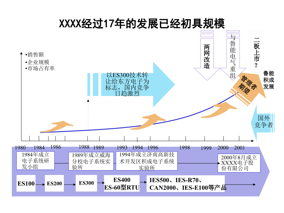 XXXX电子股份有限公司内部管理诊断报告_第2页