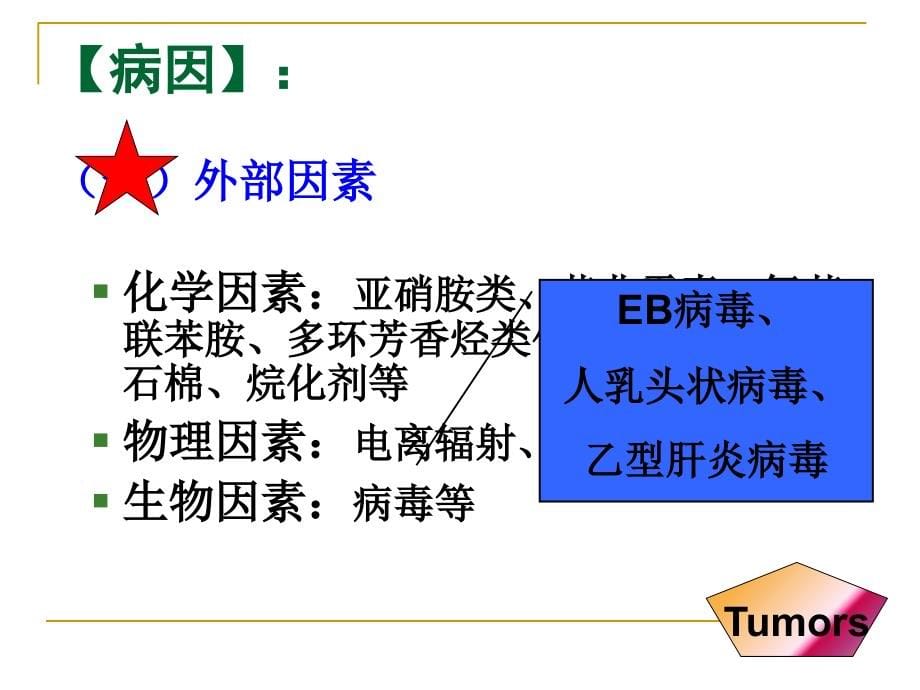 肿瘤患者的护理_第5页