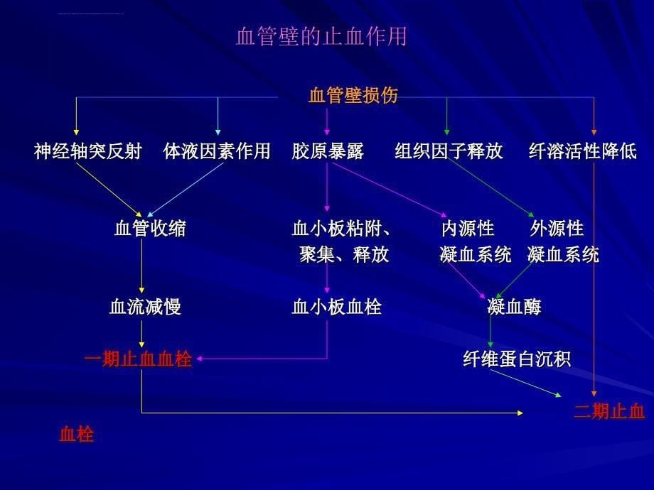 止血与血栓性疾病的实验诊断_第5页