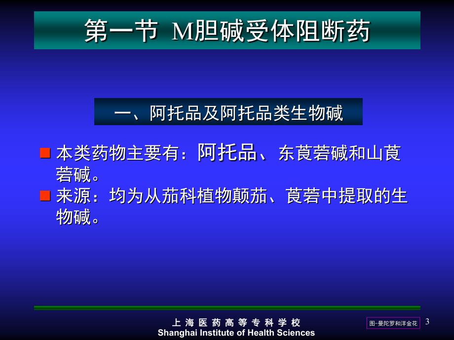 胆碱受体阻断药 - 上海医药高等专科学校 网站首页_第3页