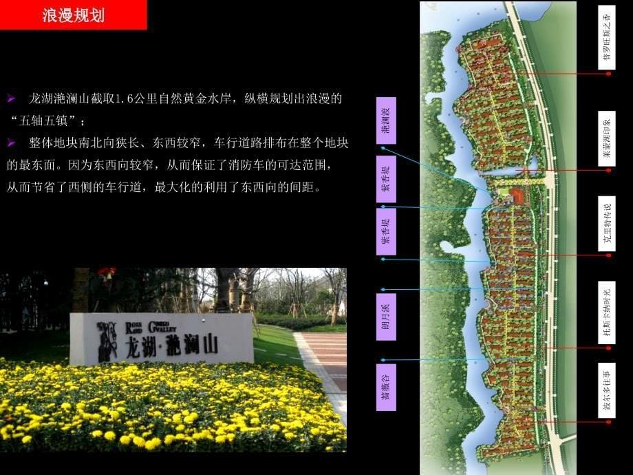上海龙湖滟澜山市场调研_第5页