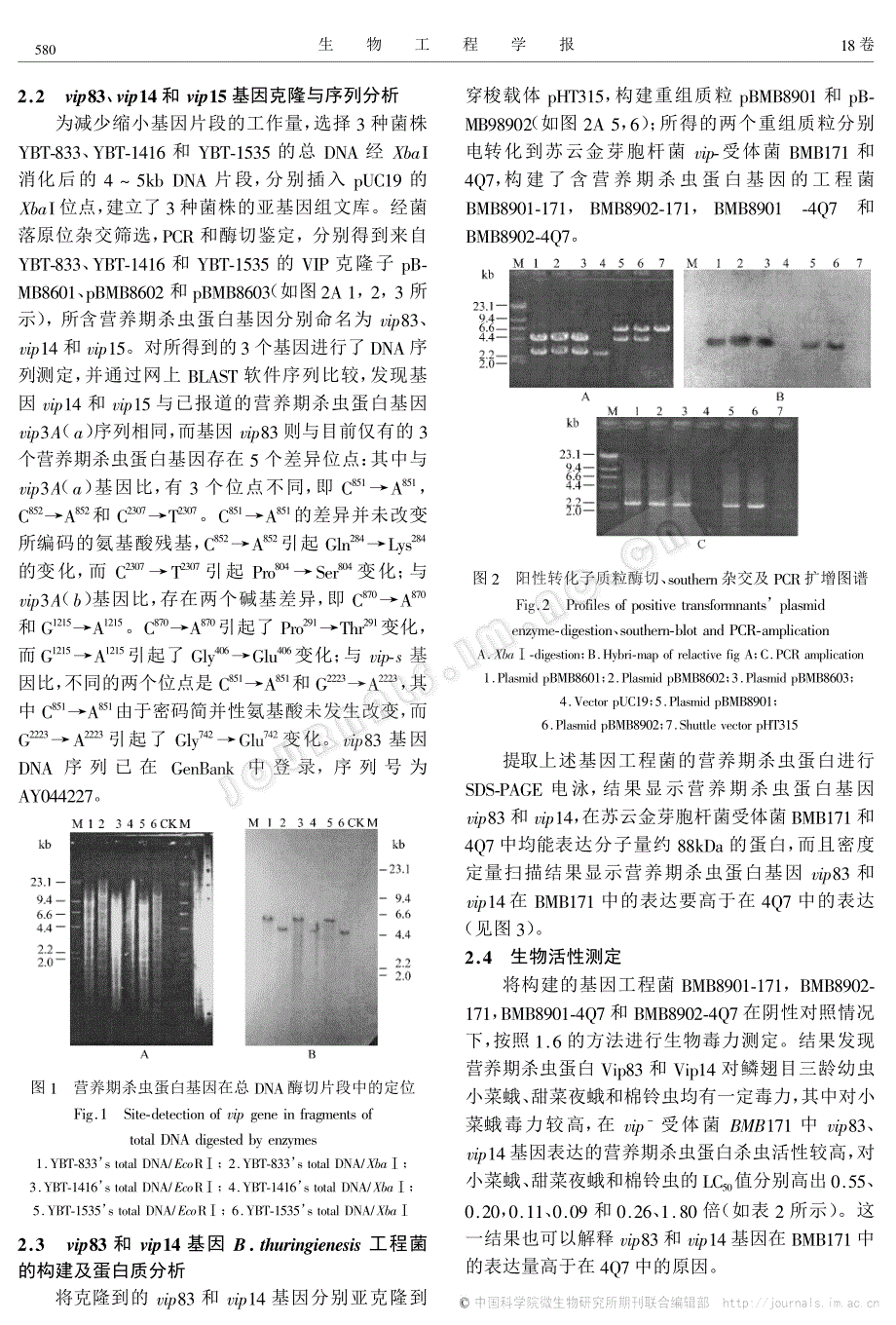苏云金芽胞杆菌营养期杀虫蛋白基因的克隆及表达分析_第3页