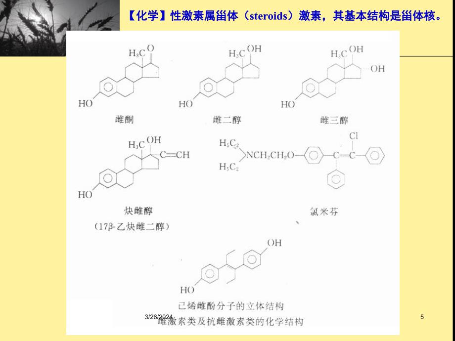 性激素类药及避孕药_第5页