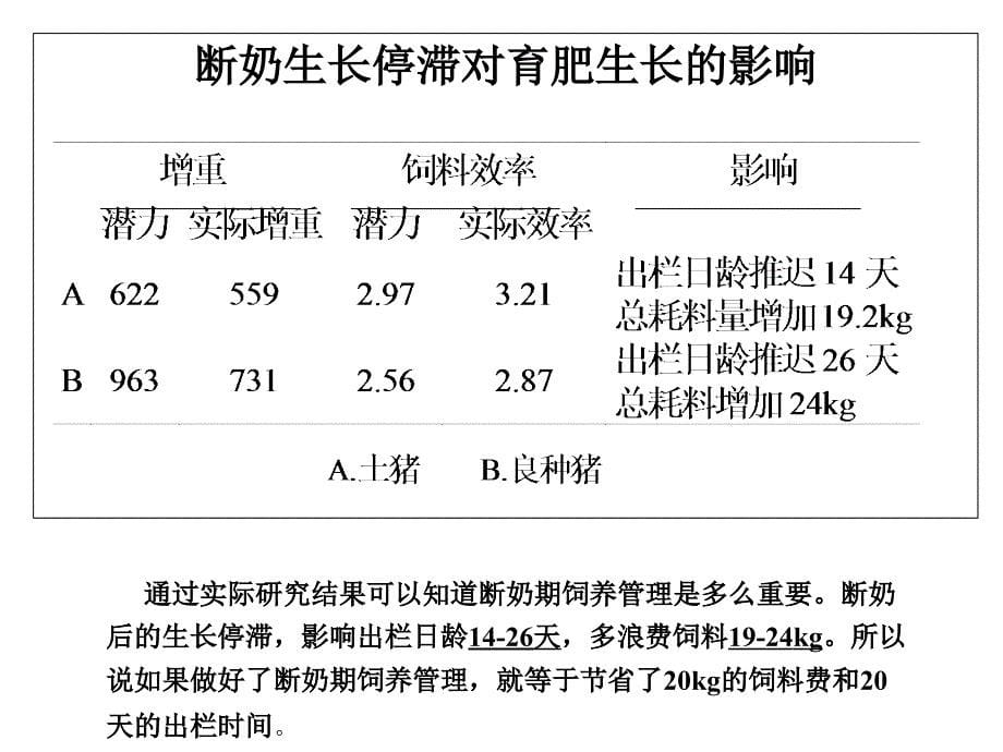 长得快饲养展示new_第5页