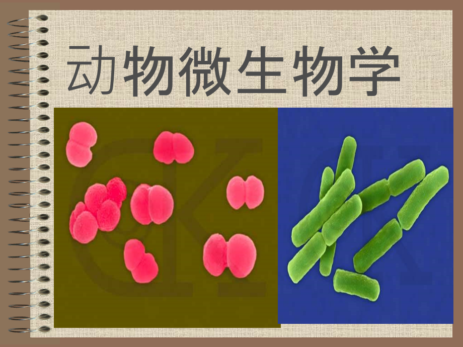 动物微生物学_第1页