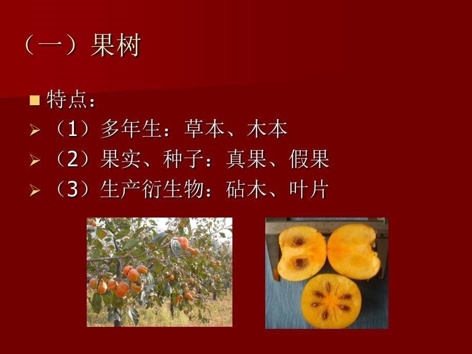 果树栽培学fruit culture_第5页