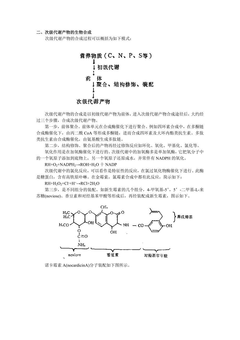 发酵生物化学基础_第5页