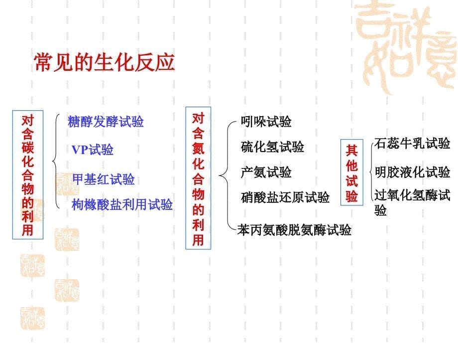 细菌生化试验_第5页