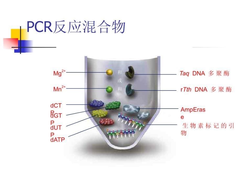 临床pcr试剂盒的选用和质检80_第5页