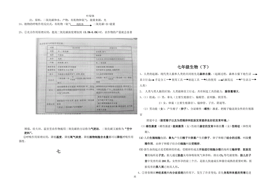 初中生物总复习提纲人教更新版_第4页