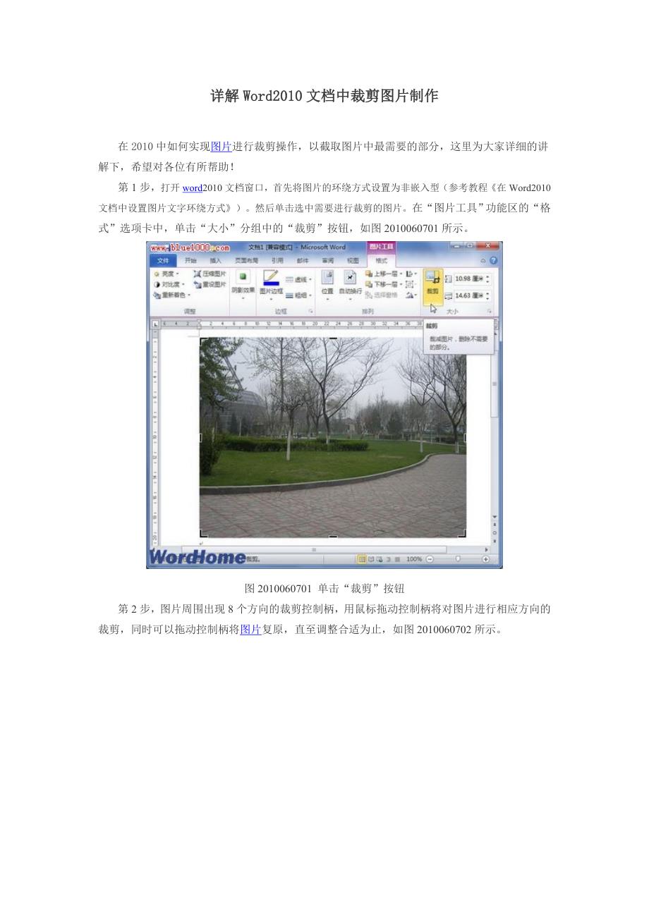 详解word2010文档中裁剪图片制作_第1页
