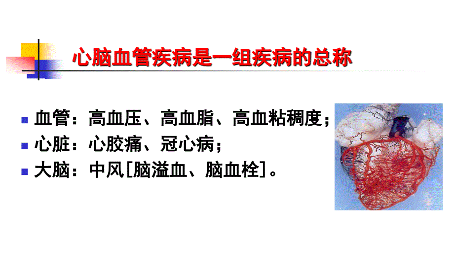 心脑血管疾病与营养干预_第4页