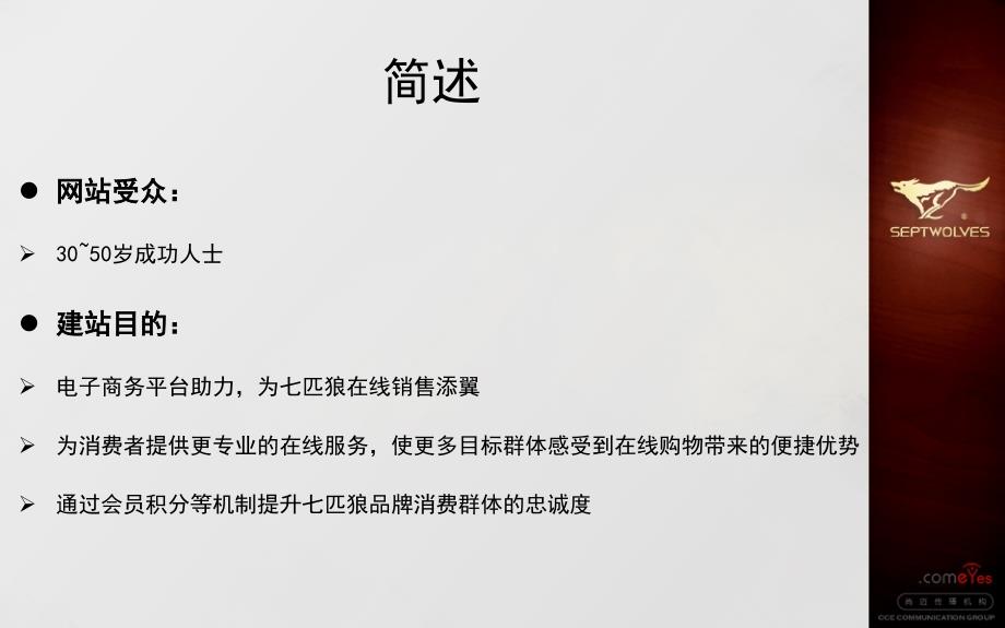 七匹狼电子商务网站提案_第2页