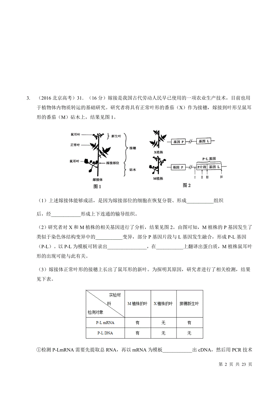 基因工程相关遗传题目_第2页