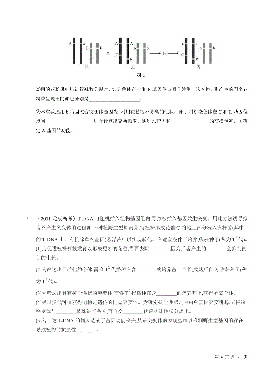 基因工程相关遗传题目_第4页