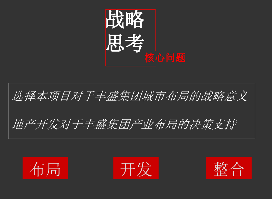 南京丰盛项目营销策略报告_第4页