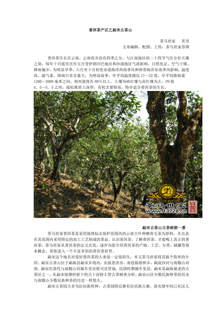 普洱茶产区之勐宋古茶山_第1页