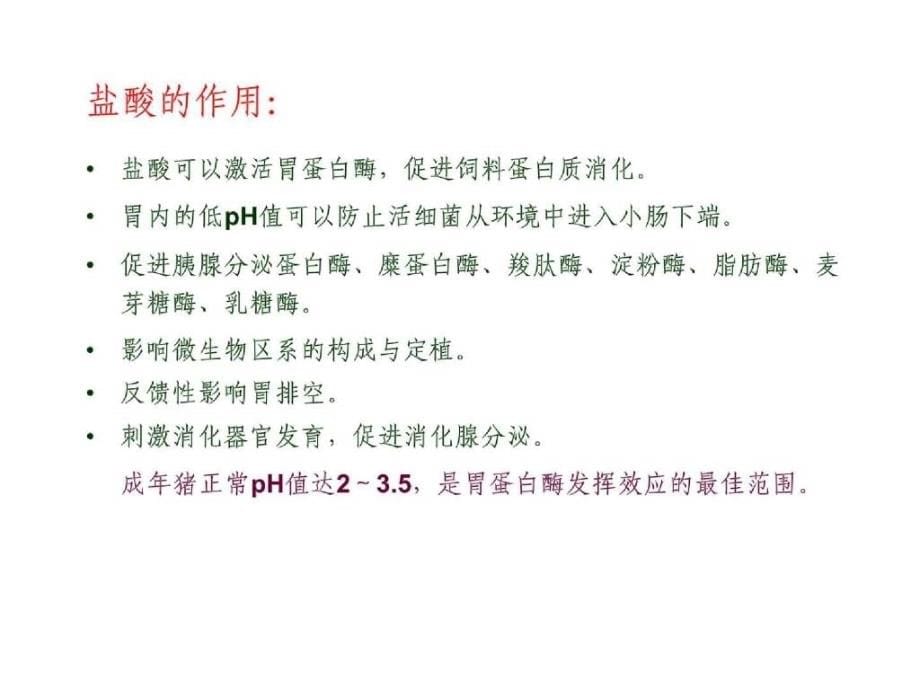 仔猪消化生理缺陷及添加剂应用_第5页