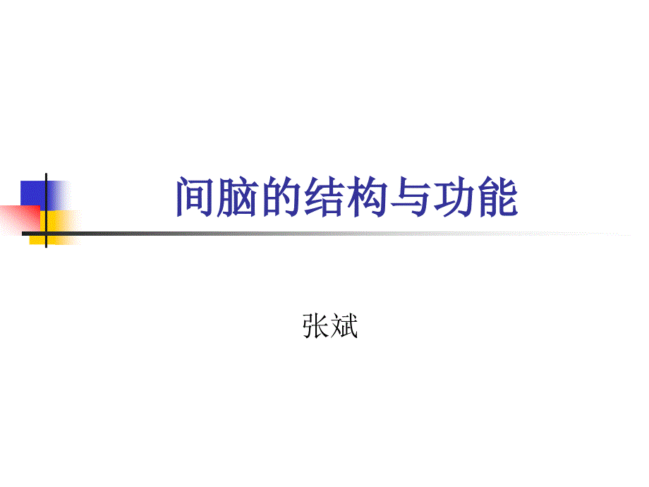 丘脑结构及功能_第1页